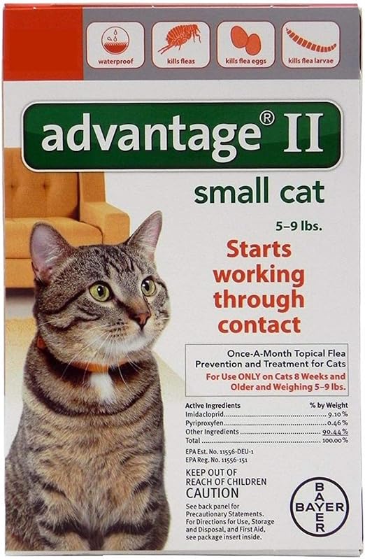cheapest advantage for cats