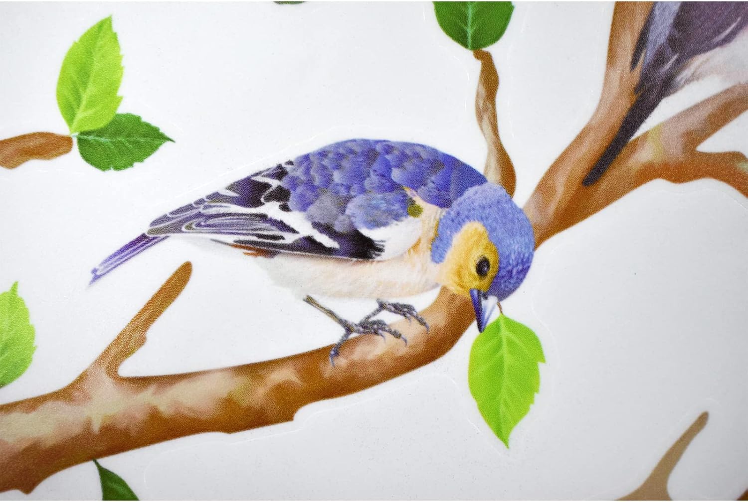 Maydahui Little Birds on Tree Branches Wall Decal Vinyl Wall Sticker (34 x 34 Inch) Removable Peel and Stick Art Murals Decor for Bedroom Offices Classroom Living Room Background