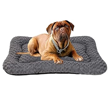Coohom Deluxe Plush Calming Dog Bed Pet Cushion Crate Mat,Machine Wash Pet Bed for Medium Large Dogs (Medium, Grey)