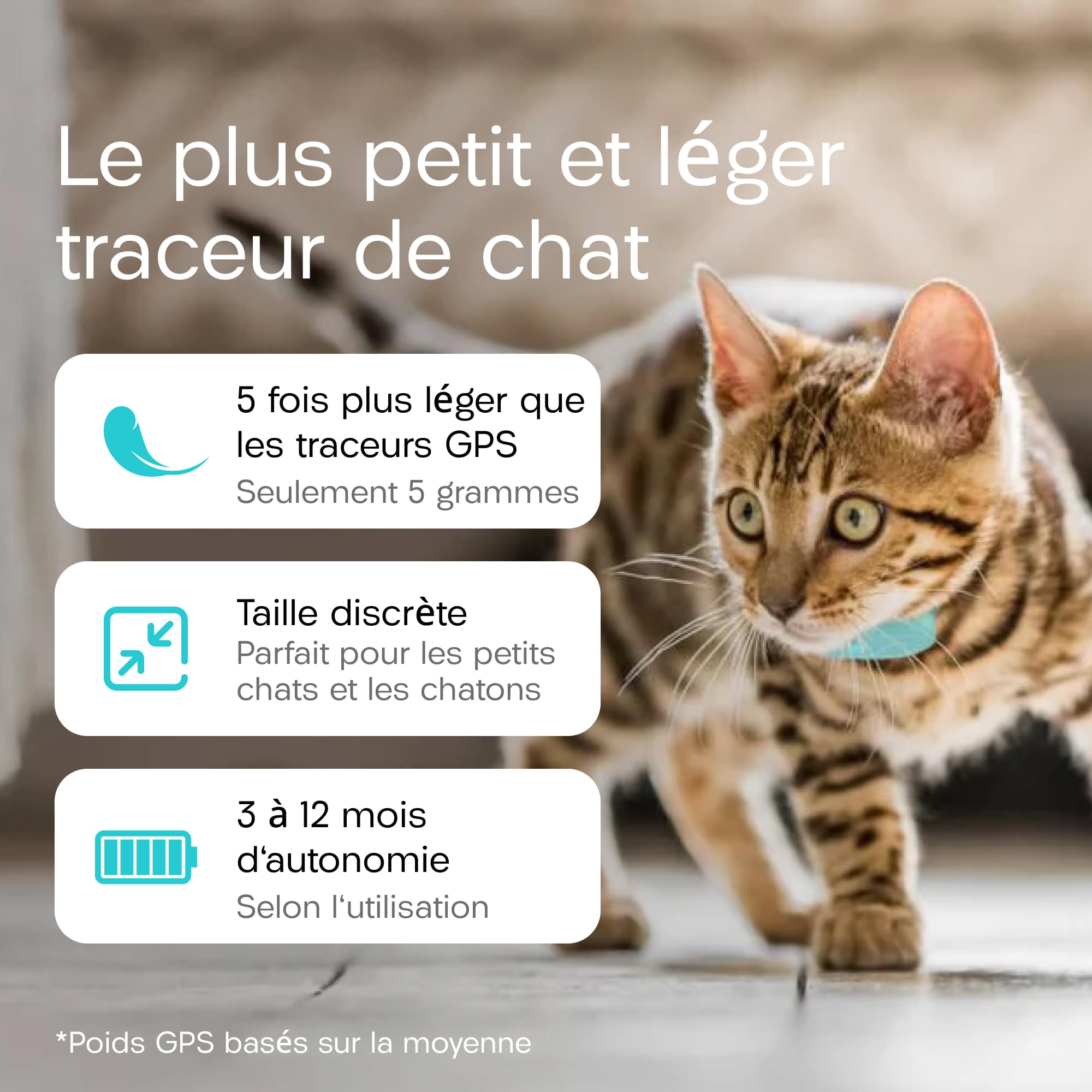 Traceur Tabcat V2 pour chats et chatons - Sans abonnement mensuel | 2 balises de localisation légères, étuis et boîtier de suivi | Plus précis que le GPS | Suivi de 2 chats à 2,5 cm et portée de 150 m