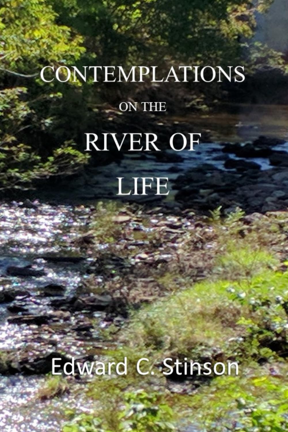 CONTEMPLATIONS ON THE RIVER OF LIFE: LARGE PRINT EDITION