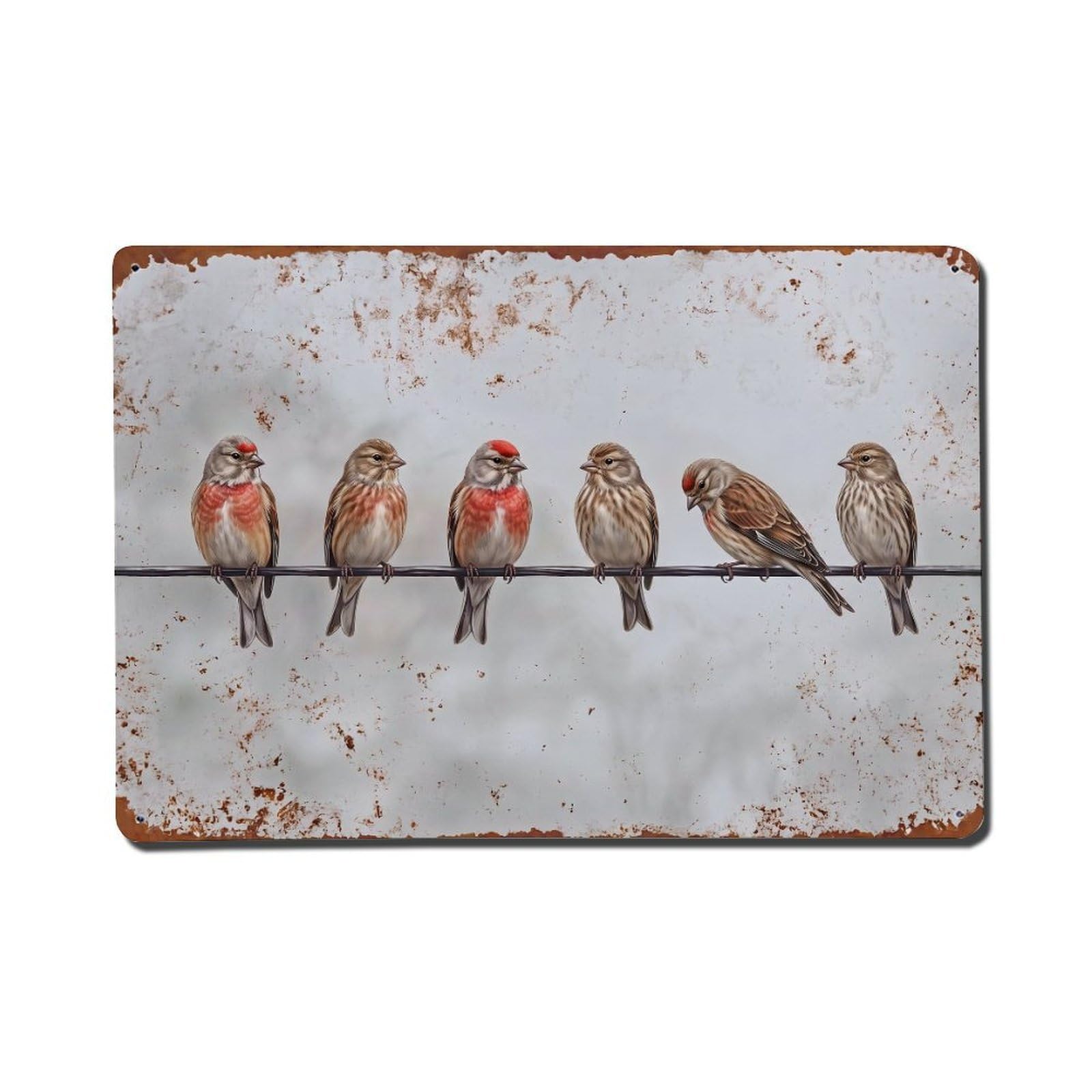 Vintage Retro Birds Linnet Metal Tin Sign