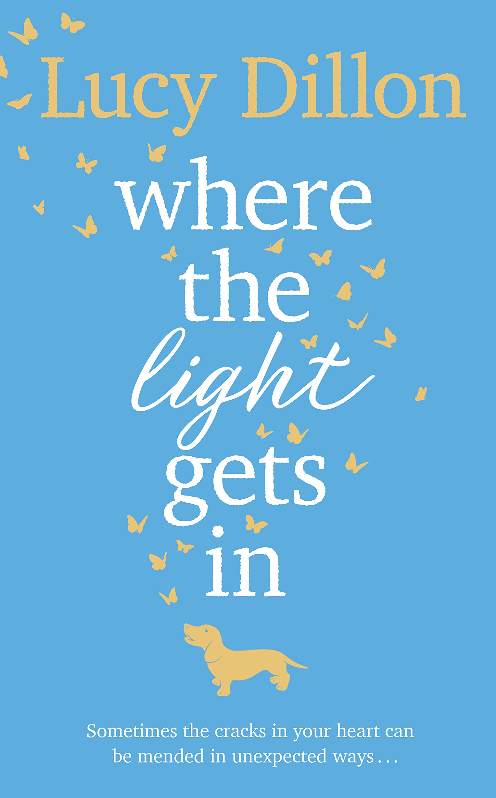 Where The Light Gets In: The Sunday Times bestseller