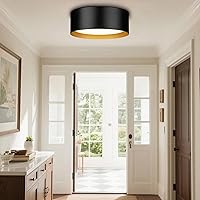 Vista 4 de Casia Luces de techo industriales de montaje empotrado, montaje empotrado cerca del techo con vidrio esmerilado, lámpara de techo de metal para sala