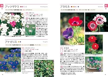 持ち歩き! 花の事典970種 知りたい花の名前がわかる | 金田 初代