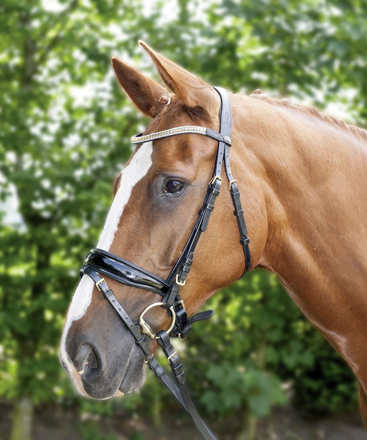 HKM 1180 Vanja - Cabestro de equitación (sin dentadura, Banda para la Cabeza, Pony COB Full