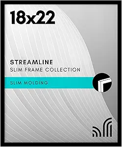 Americanflat 18x22 Picture Frame with Polished Plexiglass - Streamline Collection - Thin Border Picture Frame for Wall Display - Hanging Hardware Included - Black
