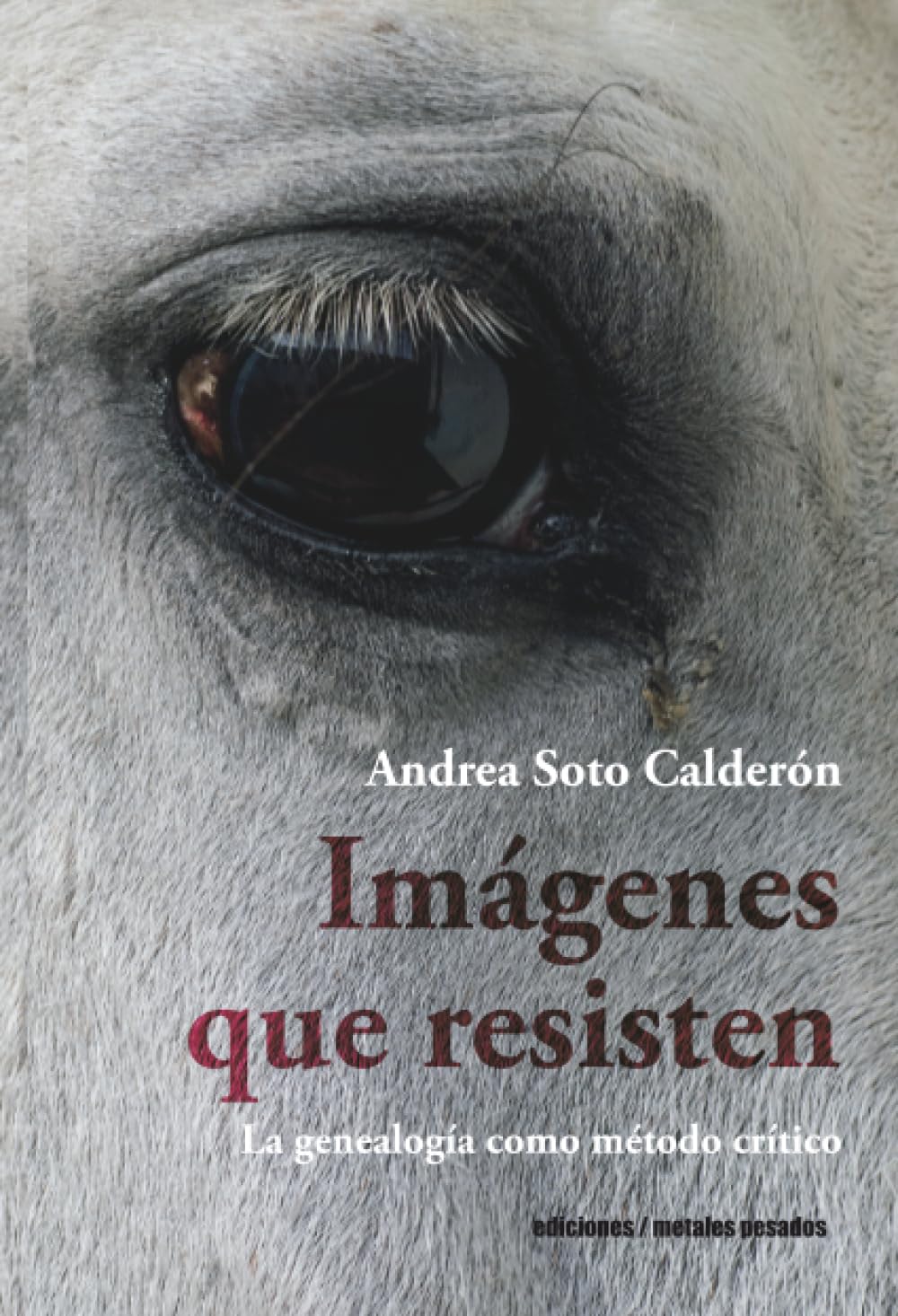 Imágenes que resisten: La genealogía como método crítico