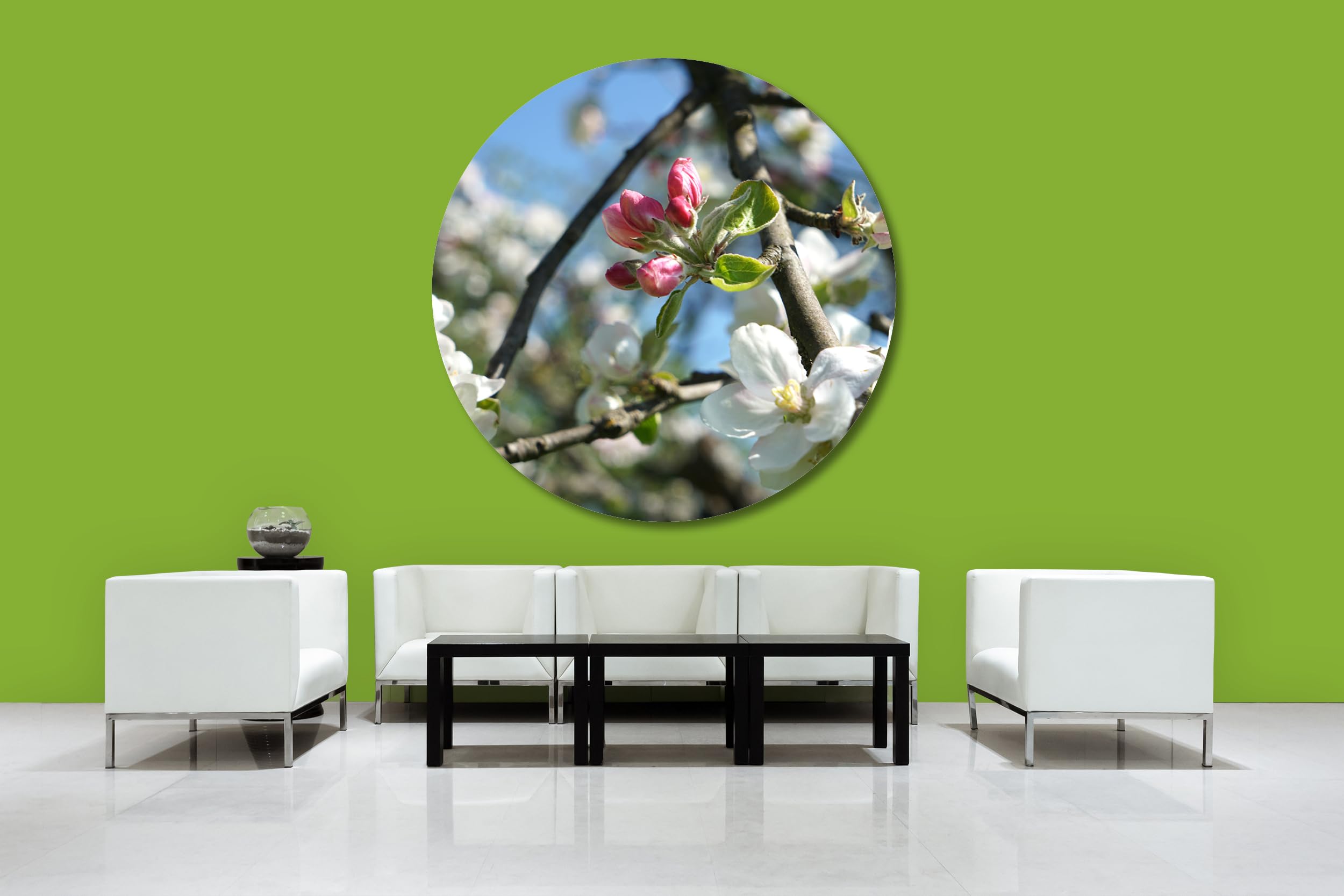 Glücksvilla - Fioritura dei meli 4 (vetro + acrilico 4 mm, Ø 120 cm) | varie misure - quadro murale rotondo - giardino fiori fioritura pianta natura botanica albero ramo ciliegia