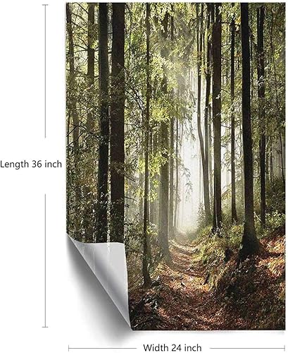 Miniatura 4 de Ventana de privacidad para ventana de bosque, camino otoñal del bosque en las montañas con niebla en la distancia, escena salvaje, ventana