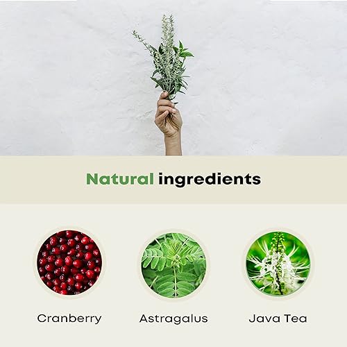 Miniatura 4 de Suplemento prémium para la salud de limpieza y desintoxicación renal con extracto de arándano orgánico que apoya la salud de los riñones, la vejiga