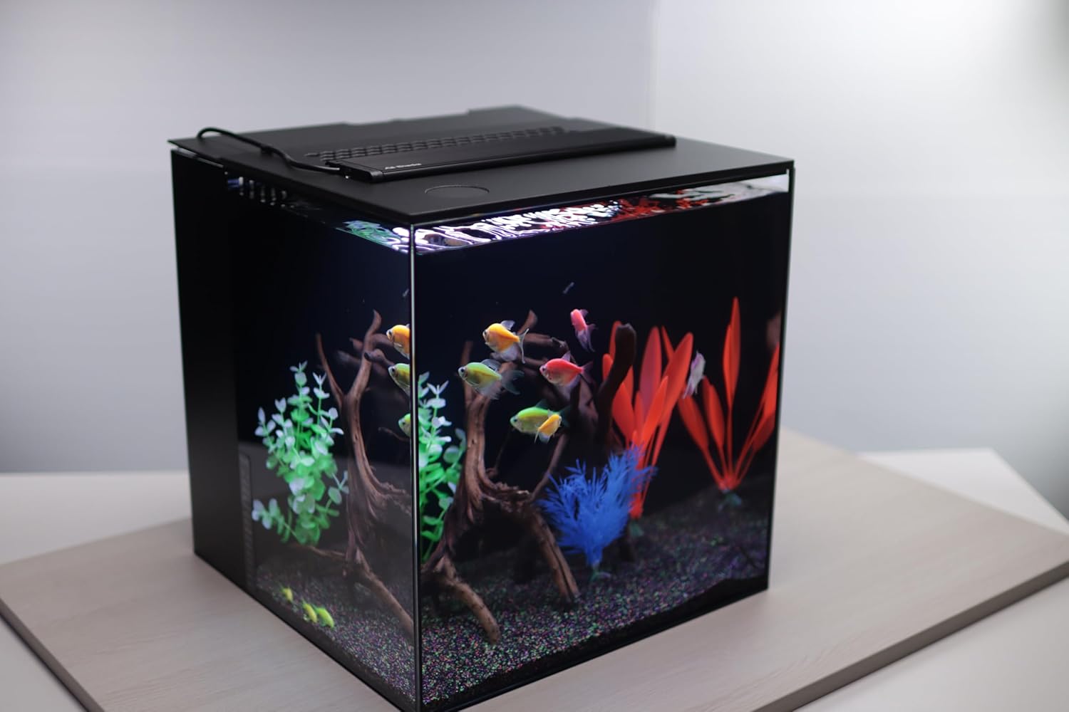 HelloReef 15 Gallon Glofish Complete Freshwater Aquarium Kit with App Controlled Smart LED Lighting, Filtration, Glofish Decor, and Guided Online Learning Center