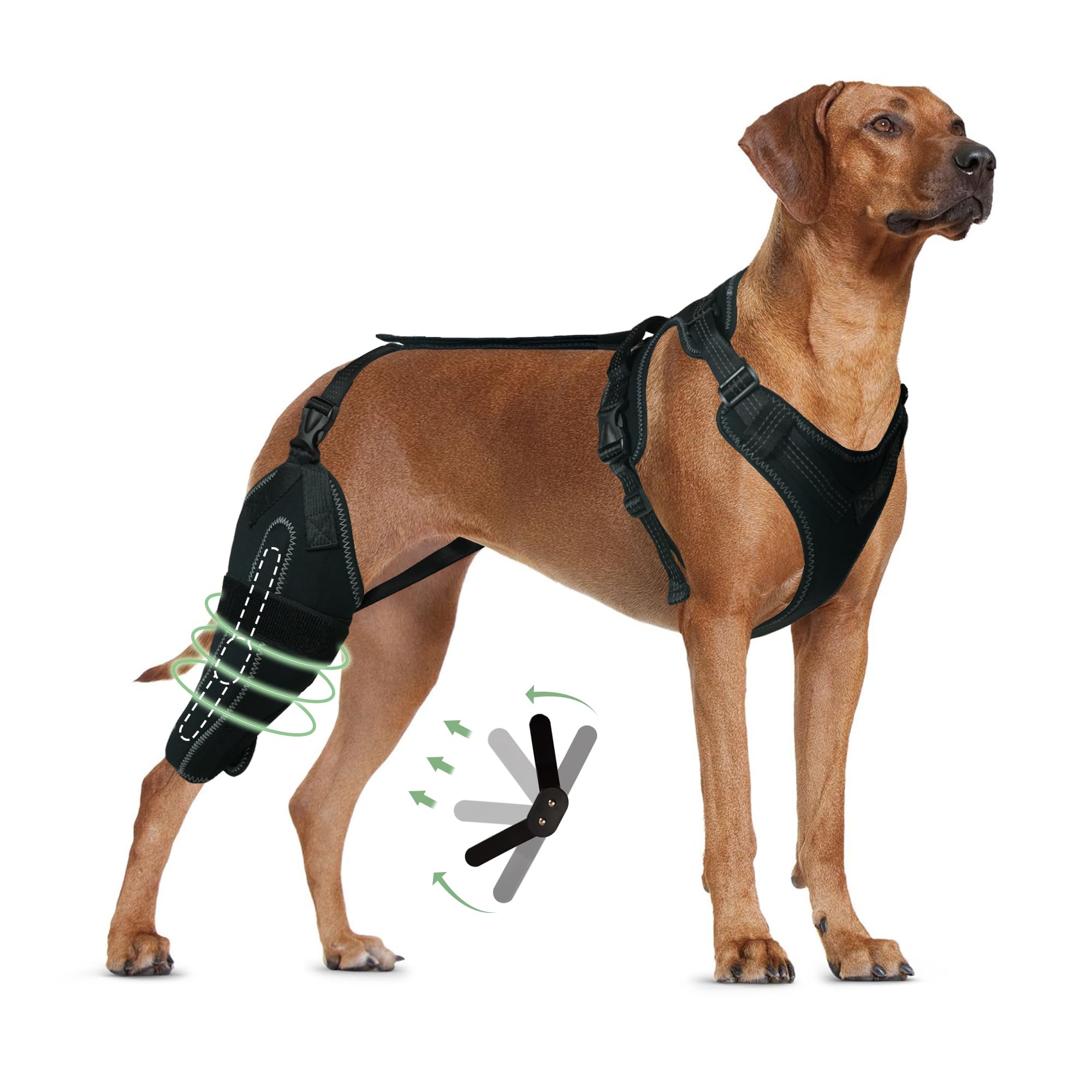 LISPOO Dog Knee Brace for Torn Acl Hind Leg,Dog Leg Braces for Back Leg for Support Luxating Patella, Cruciate Ligament, Dog Acl Knee Brace Warm Joint and Relief Pain, Dog Knee Brace (XL)