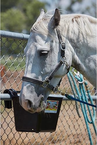 Vista 21 de Little Giant® Comedero de plástico con gancho Cubo de alimentación para ganado y mascotas Cubo de alimentación para caballos Fabricado en Azul