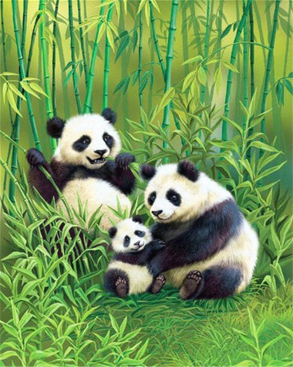 Peinture par numéros panda cadeau de décoration original pour anniversaire et DIY
