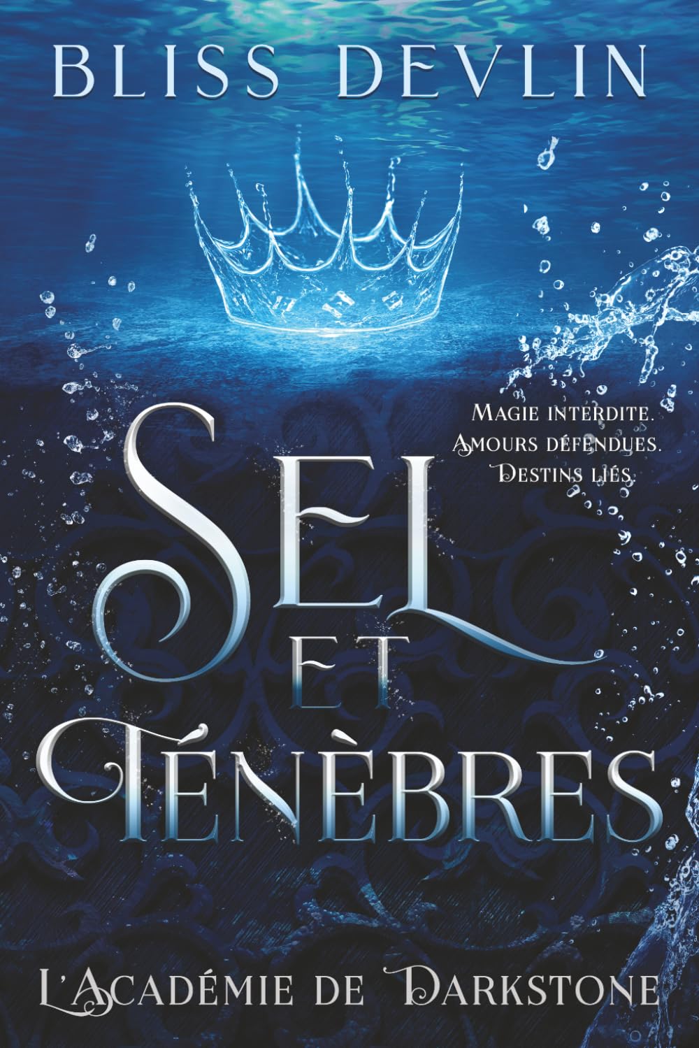 Sel et Ténèbres: Magie interdite. Amours défendues. Destins liés. (L’Académie de Darkstone)