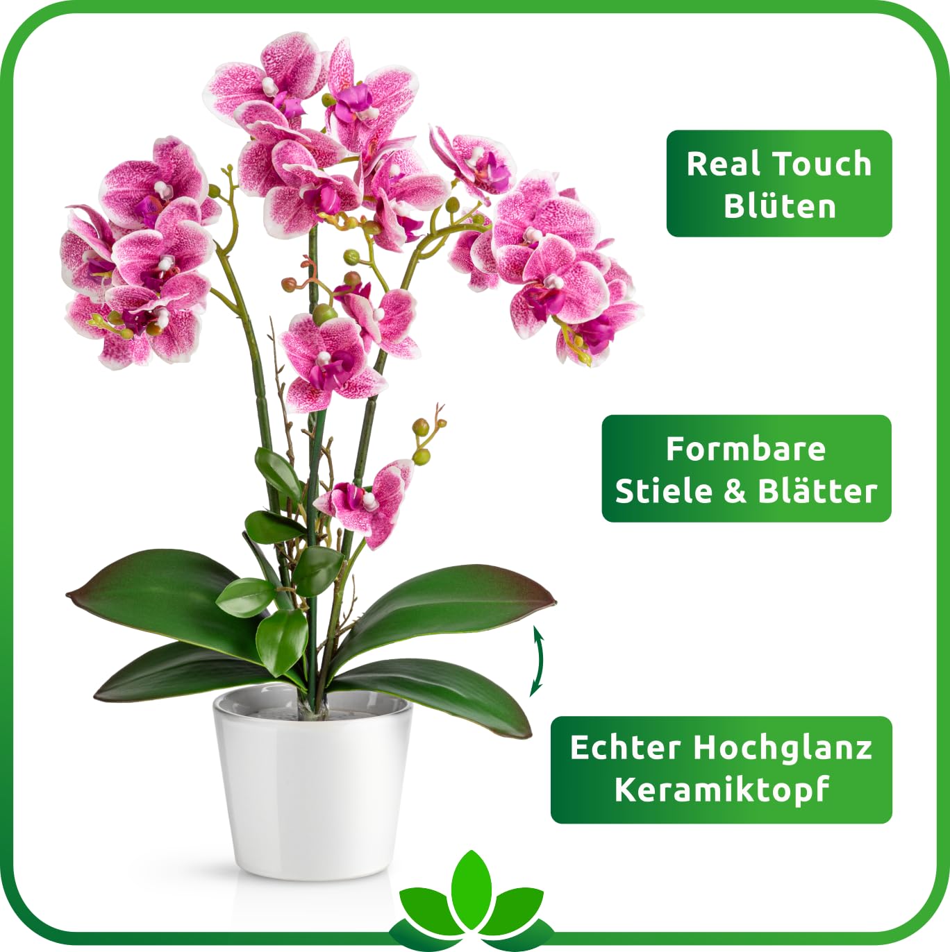 PASCH®