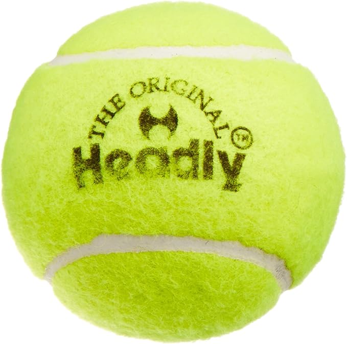 sole 500 rowing machine