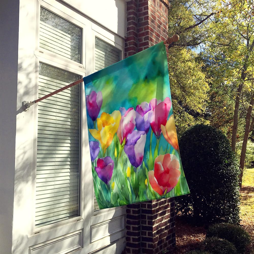 Caroline's Treasures Freesias in Watercolor House Flag Large Porch Sleeve Pole Decorative Outside Yard Banner Artwork Wall Hanging, Polyester, House Size, Multicolor