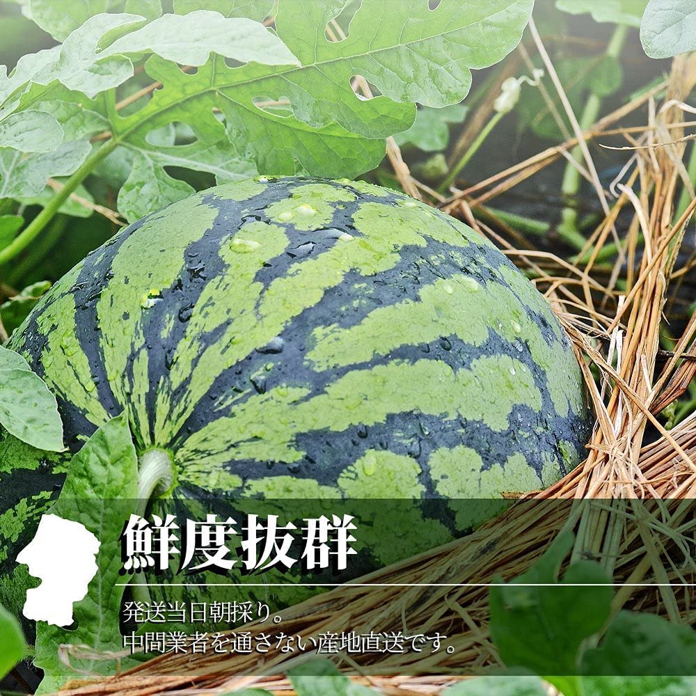 Amazon.co.jp: [山形eLab] すいか 尾花沢スイカ 山形県産 訳あり 大玉