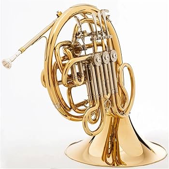 Amazon | 初心者フレンチホルン 金管楽器 4キー イエローブラス