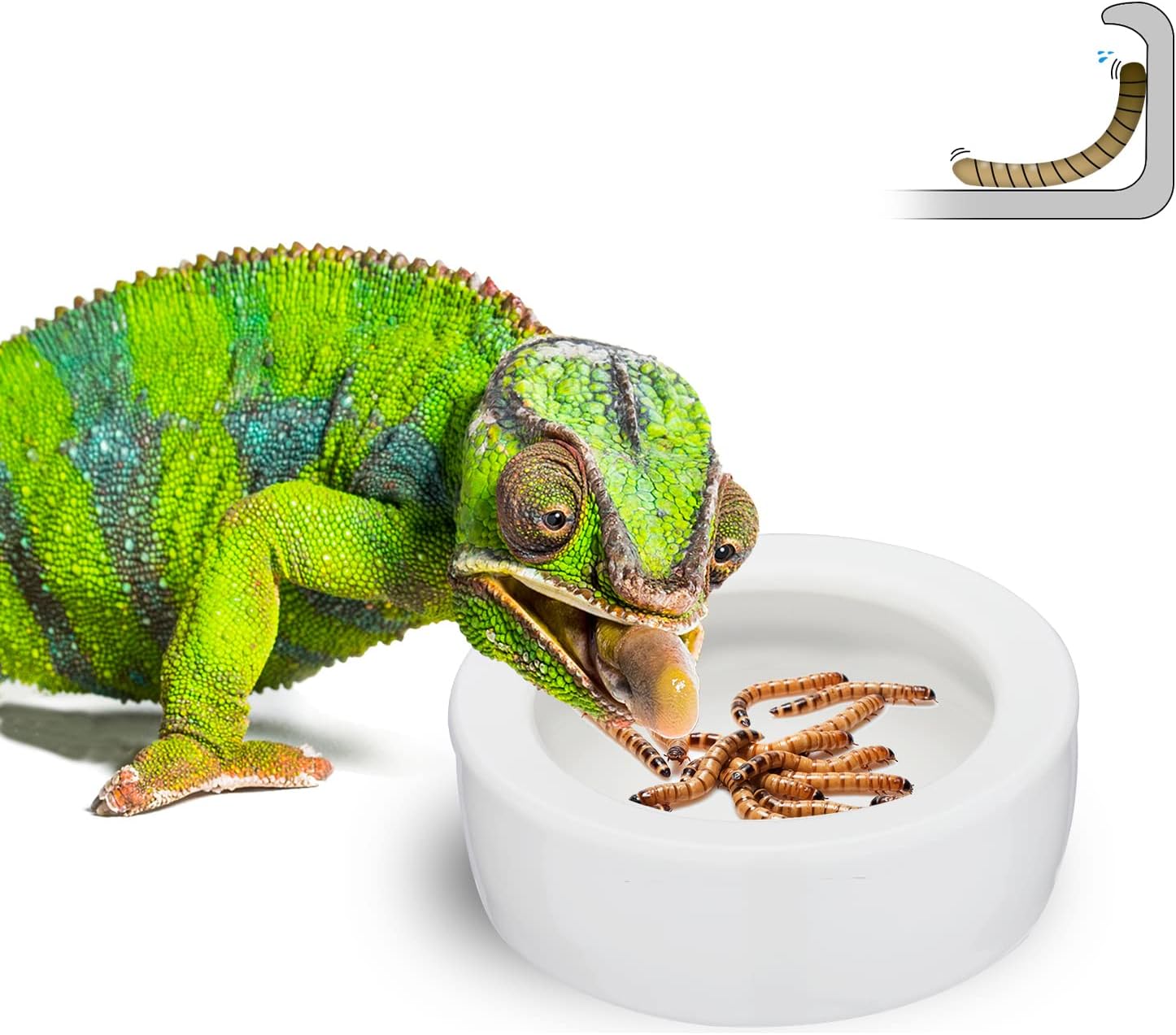 Nucookery Reptile Food Dish,Worm Water Dish,2.75" Anti-Escape Feeder,Ceramic Pet Bowls,Worms Bowl for Lizard Bearded Dragon Gecko…