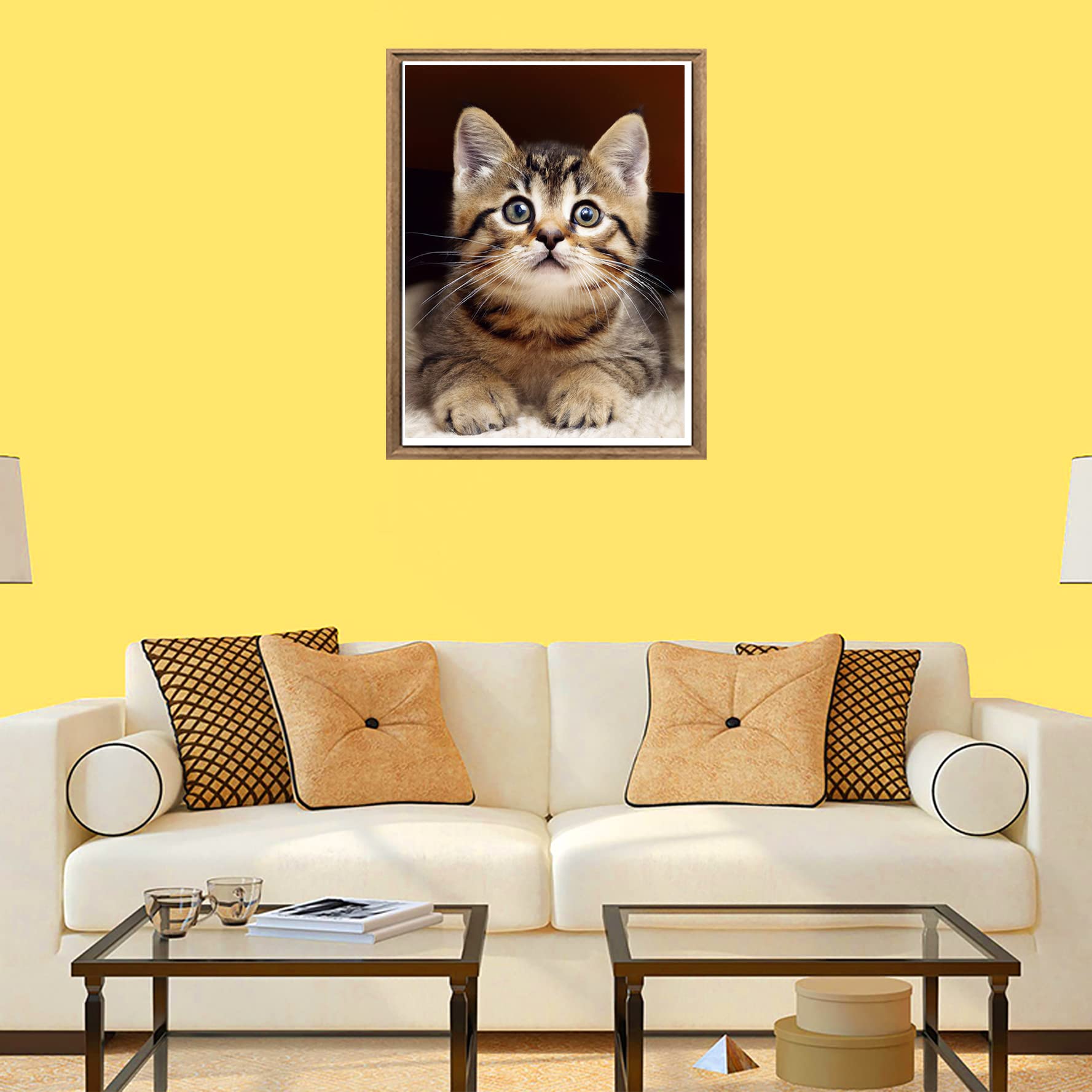 Bimkole 5D Diamond Painting DIY Kits Chat Orange, Marguerite, Animal Broderie Diamant Kits De Broderie Au Point De Croix Strass Rond Résine Peinture Décor à La Maison 30x40cm