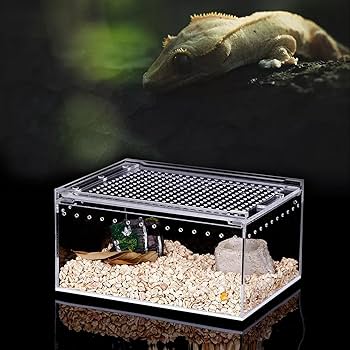 アクリル飼育ケージ 通気孔付き 3個セット アクリル飼育ケージ 通気孔付き 3個セット