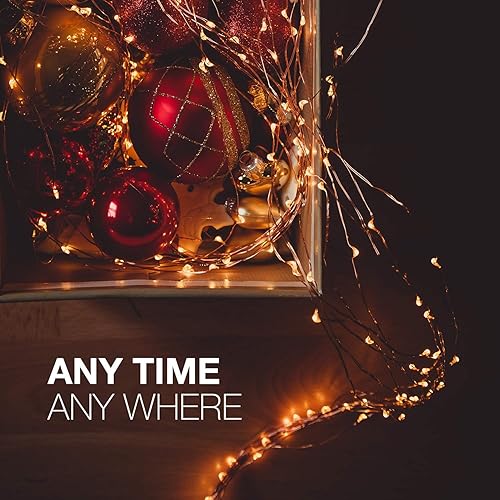 Miniatura 6 de Tenergy - Paquete de 2 series de luces de baterías, incluye 6 pilas AA, serie de 16.5 pies con 50 luces LED, control remoto, para exteriores, listo