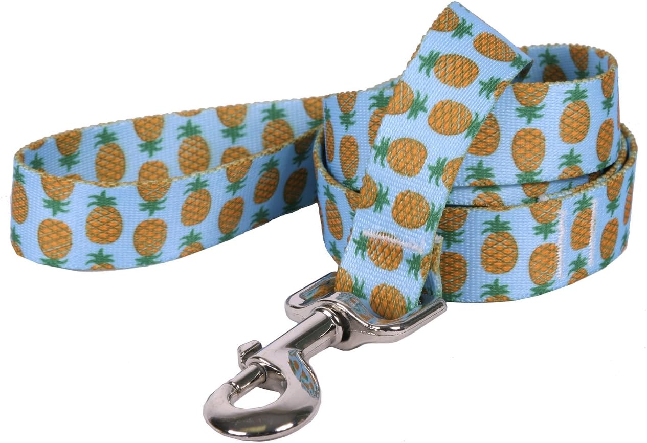 pineapple dog leash