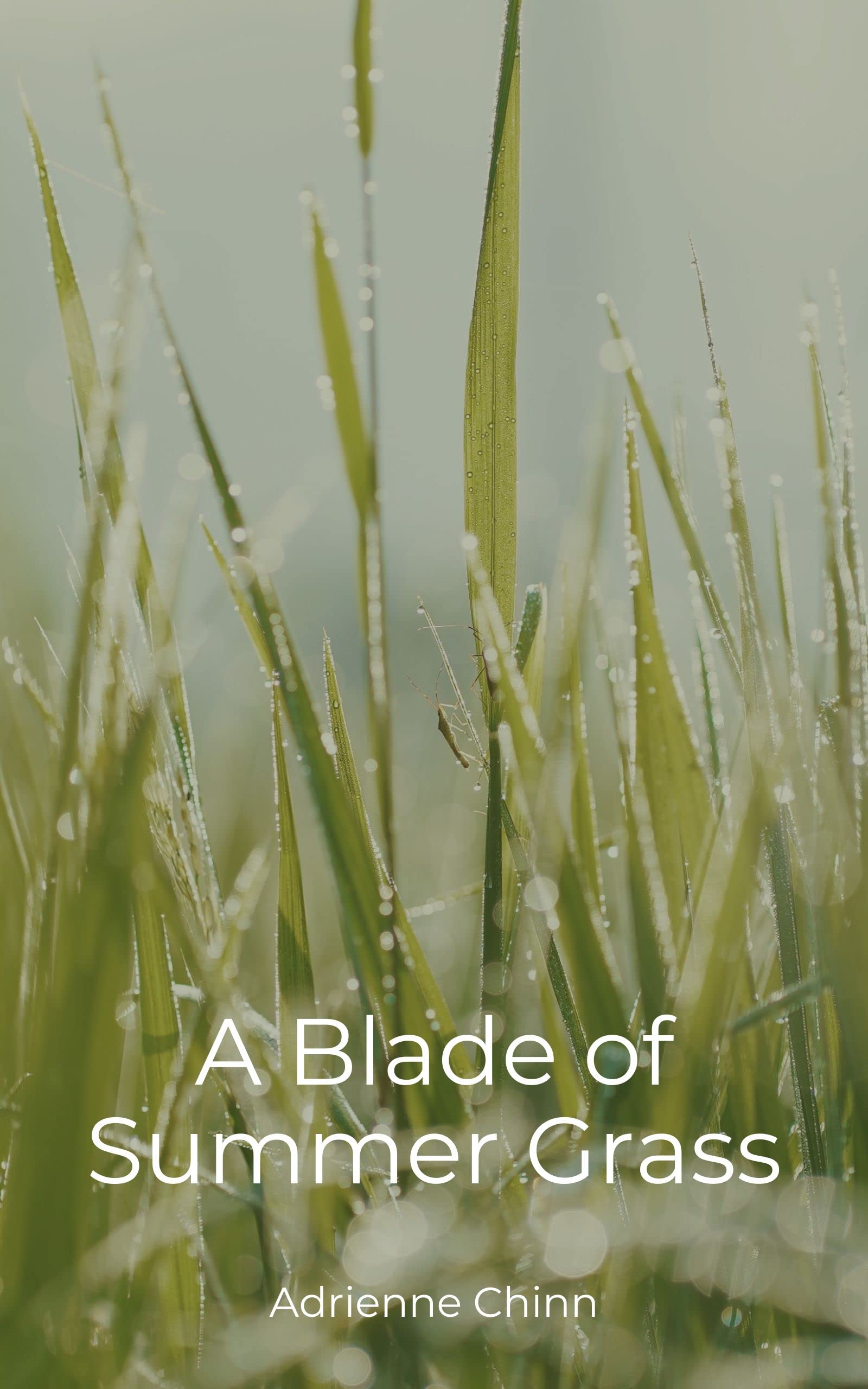 A Blade of Summer Grass: A Collection of Haiku and Tanka