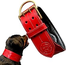 The K9 Store 100% Highgrade Leather Red Colored Dog Collar for Neck with Brass Accesories in Extra for Dogs.Collar for Dogs,Dog Neck Collar (RED, K9COL14 - RED L (18.5-22.5 Inch))