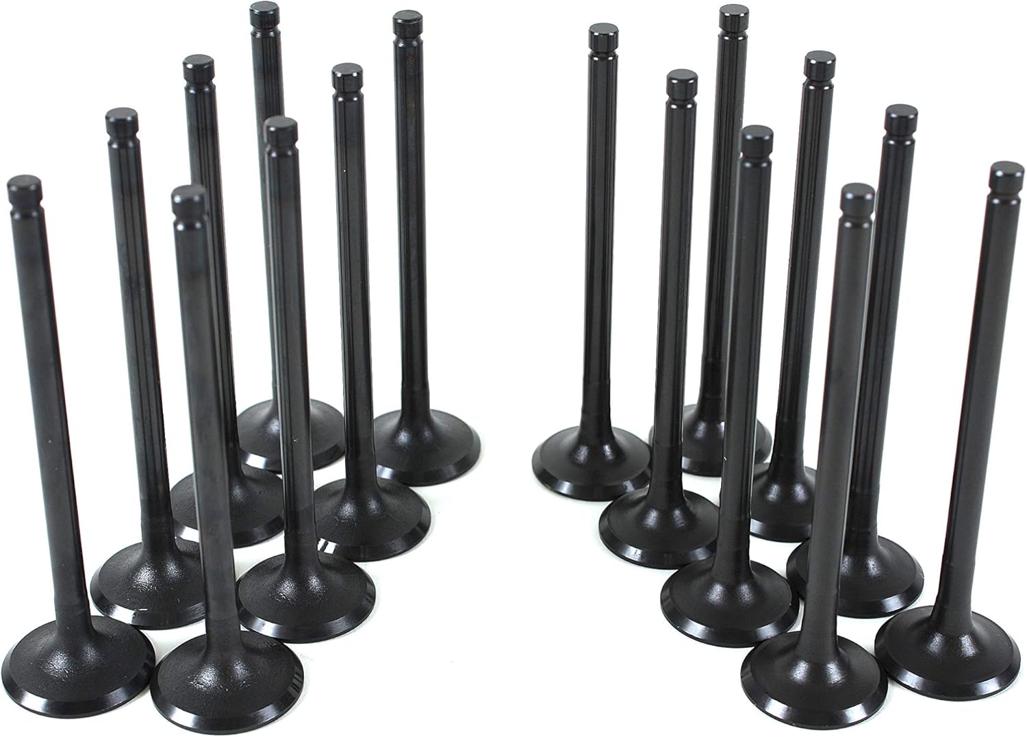 CNS Intake Exhaust Valve Kit Compatible with CHEVROLET AVEO / AVEO5 1.6L (1598cc) DOHC L4 16V, VIN CODE "6"