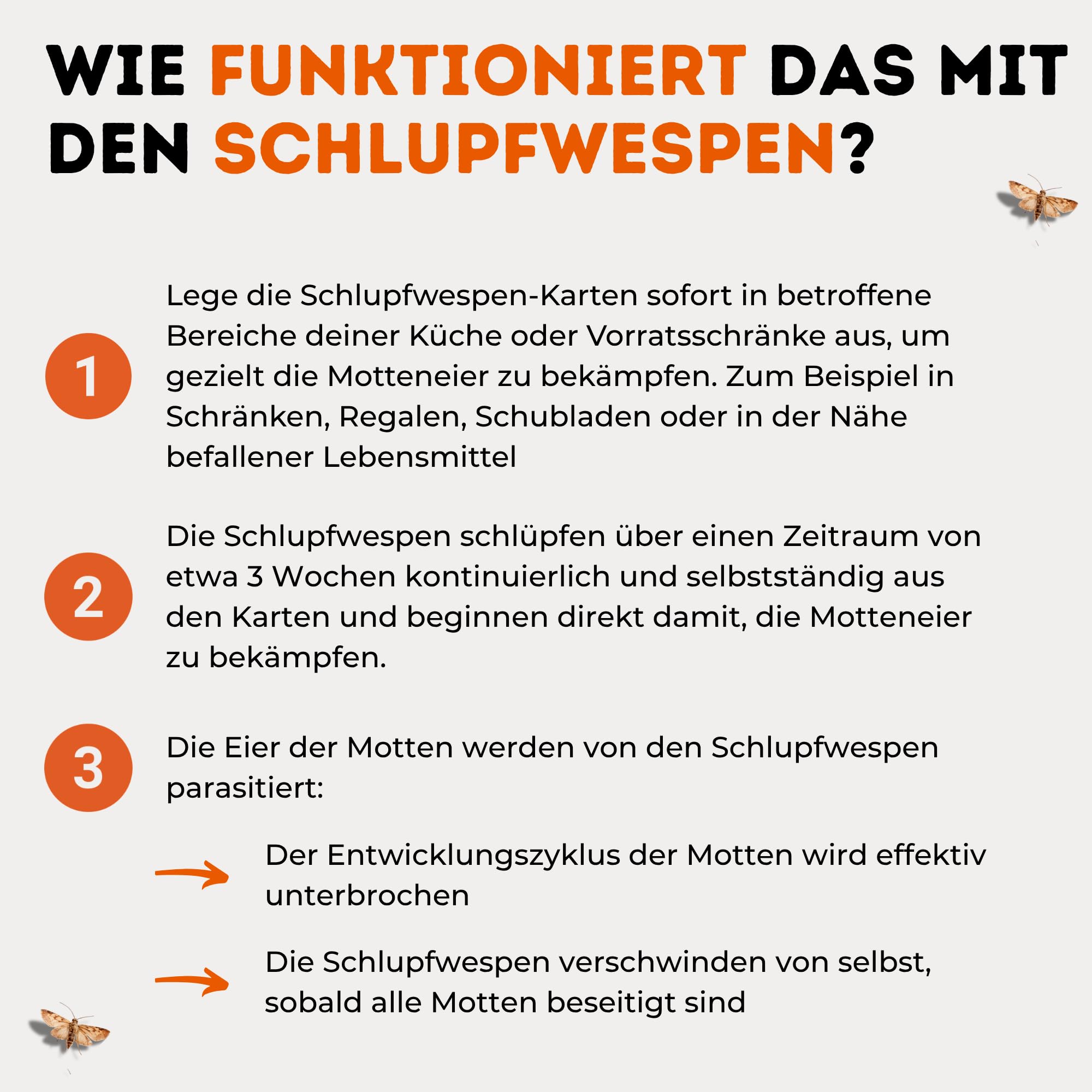 Schlupfwespen gegen Lebensmittelmotten - 20 Karten à 1 Lieferung zur effektiven Bekämpfung - biologische Alternative zur Mottenfalle oder Pheromonfalle