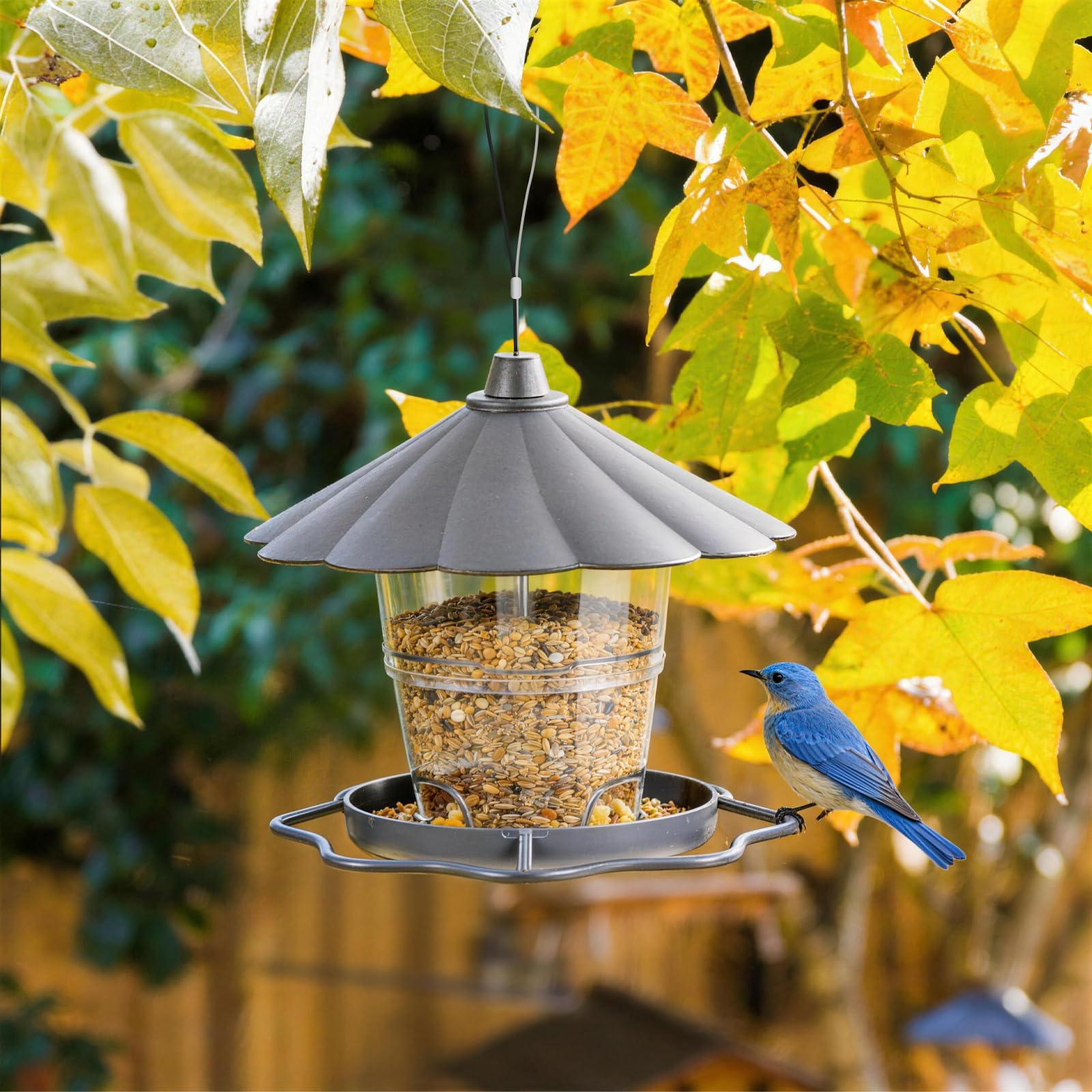 FuYelng Colgante Comedero Pajaros Exterior, 1000 ml Gran Capacidad Comederos para Pajaros Impermeable Plegable, para Jardín Balcón Antepecho de Ventana Ideal para Regalar (Gris) — view 6