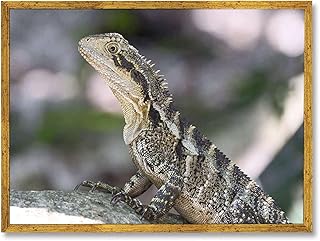 Framed Lizard Nature Poster Canvas Print Art Rustic Contemporary Wall Art Painting Pictures Wall Decor Stunning Home Decor for Living Room Bedroom (Gold Framed,12" LX16 W)
