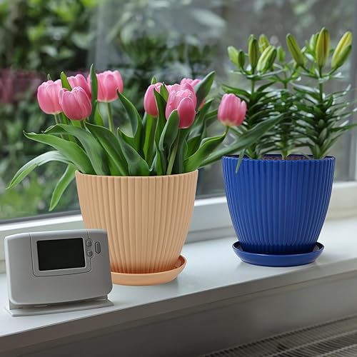 Miniatura 9 de MUXINCAMP Macetas grandes de 7 pulgadas, paquete de 6 macetas con orificio de drenaje y bandeja de platillo, maceta de plástico para plantas y