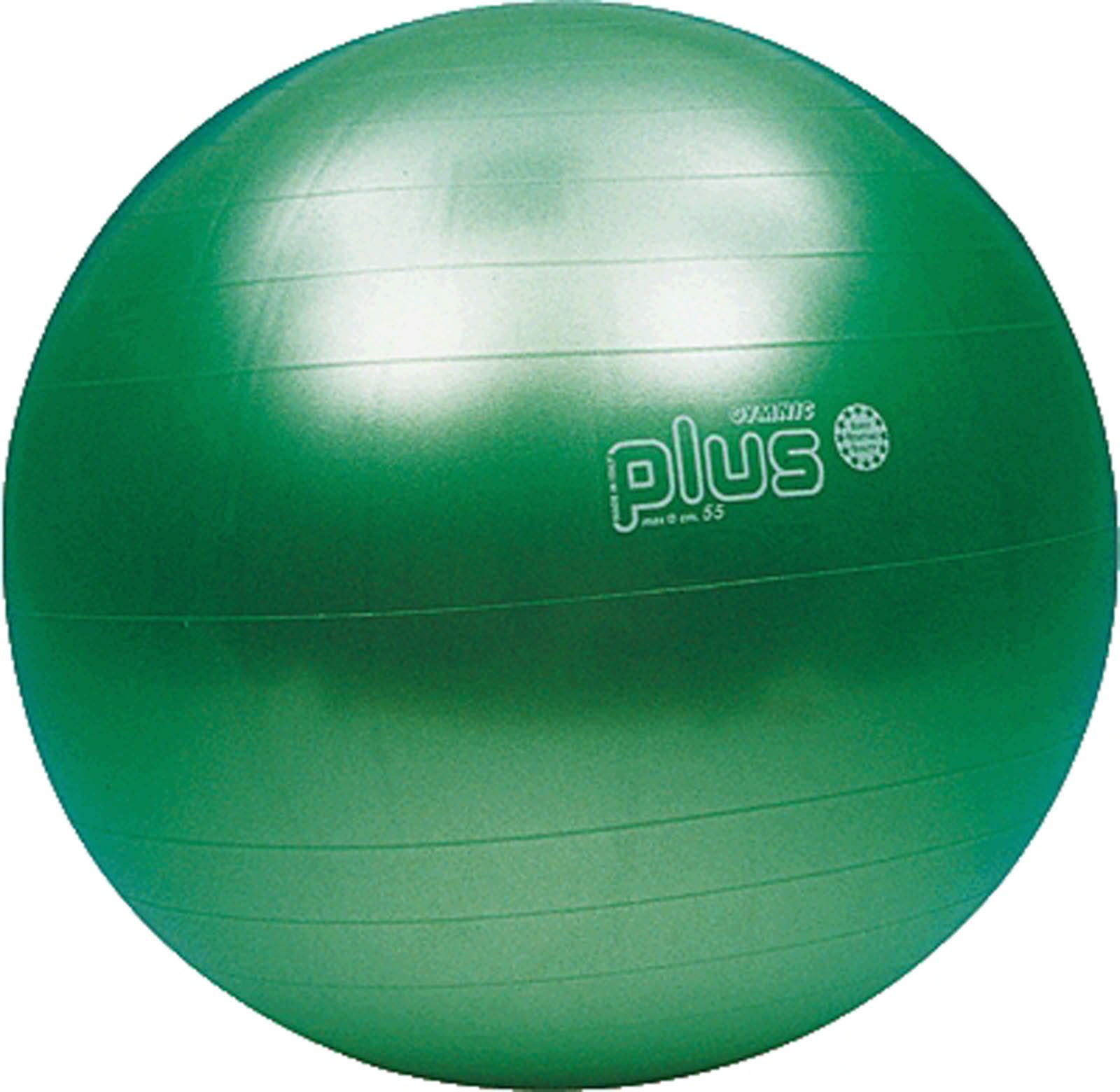 GYMNIC Plus Fit-Ball 55 Cm Verde Lime – Palla Fitness E Fisioterapia Antiscoppio