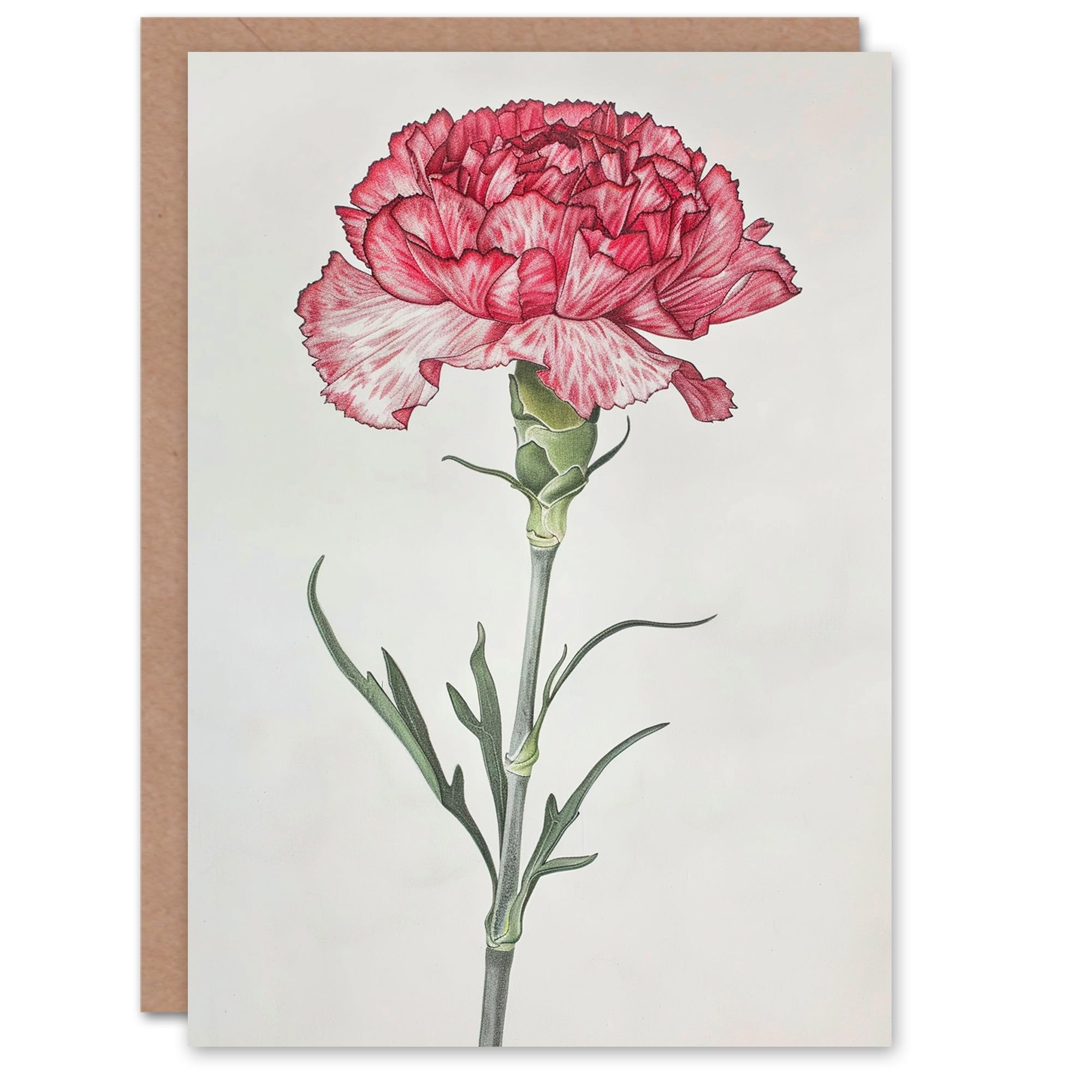 Artery8 Women's Carnation Flower Birthday Card - Red