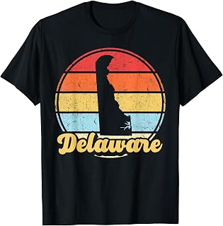 Vintage Delaware Native Delaware Roots Home State Pride DE T-Shirt