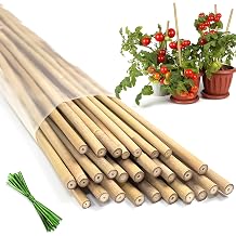 Plant Stakes, 18 Inches Natural Bamboo Stakes Plant Support Stakes -20Pcs