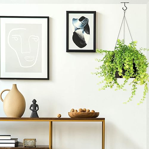Miniatura 9 de AJART Ganchos de techo para plantas colgantes colgador de plantas de hierro para montaje en pared, paquete de 82.5 pulgadas gancho de techo para uso