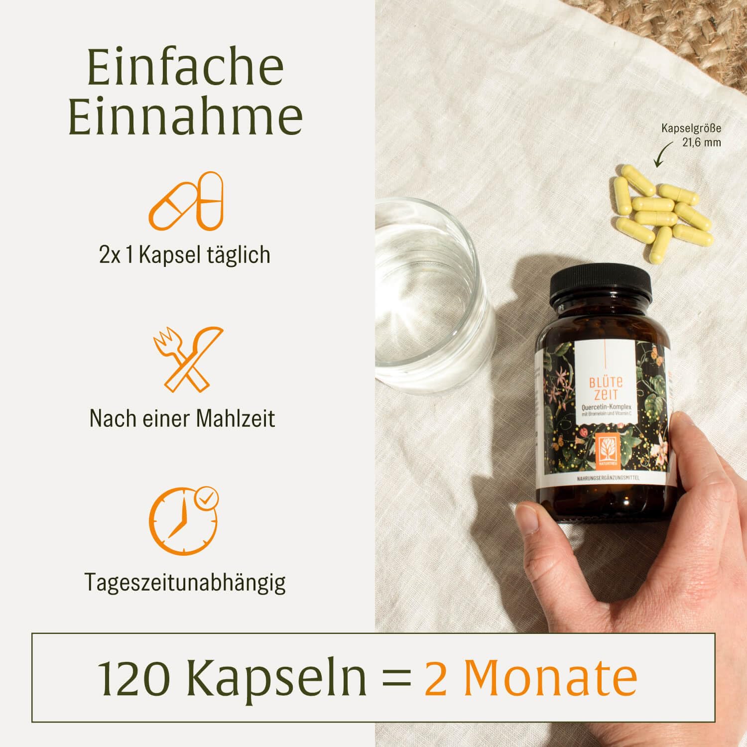 Quercetin Bromelain Komplex 120 Kapseln Vegan - 500mg Quercetin hochdosiert, 100mg Bromelain und 16mg Vitamin C pro Tagesdosis - Blütezeit von Naturtreu