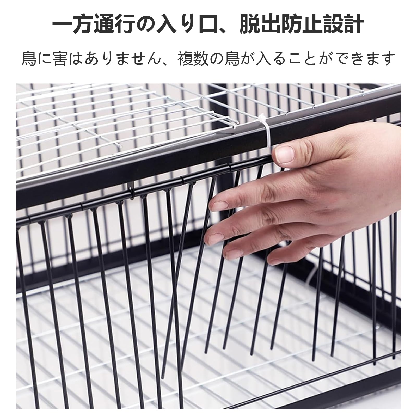 Amazon | 屋外 鳩かご 鳩捕り籠 自動鳩捕獲器 片道入口付き 逃げない