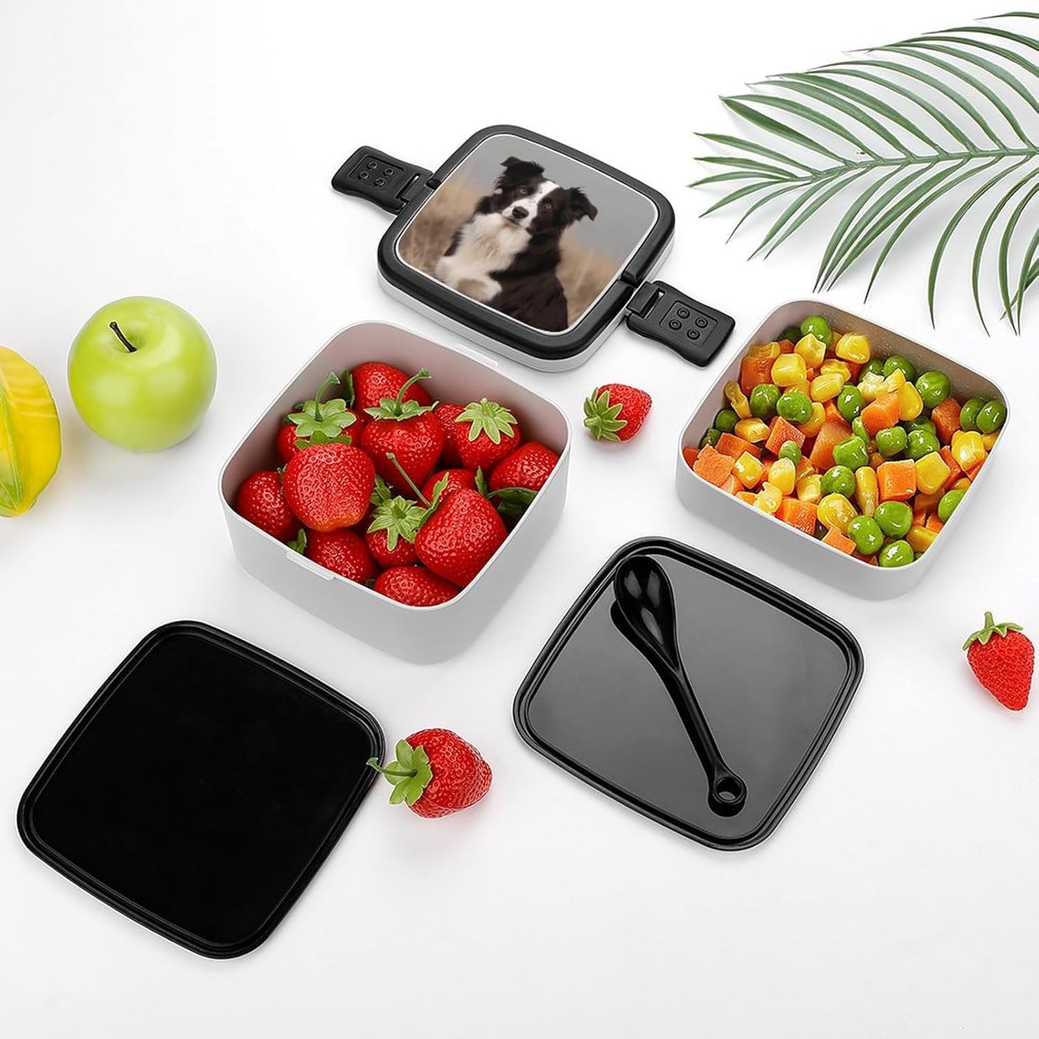Adults Lunch Box Adult Bento Box Stackable Bento Box BPA-Free Border Collie Lunch Box Food Container Ideal for Meal Prep, Work, And On The Go