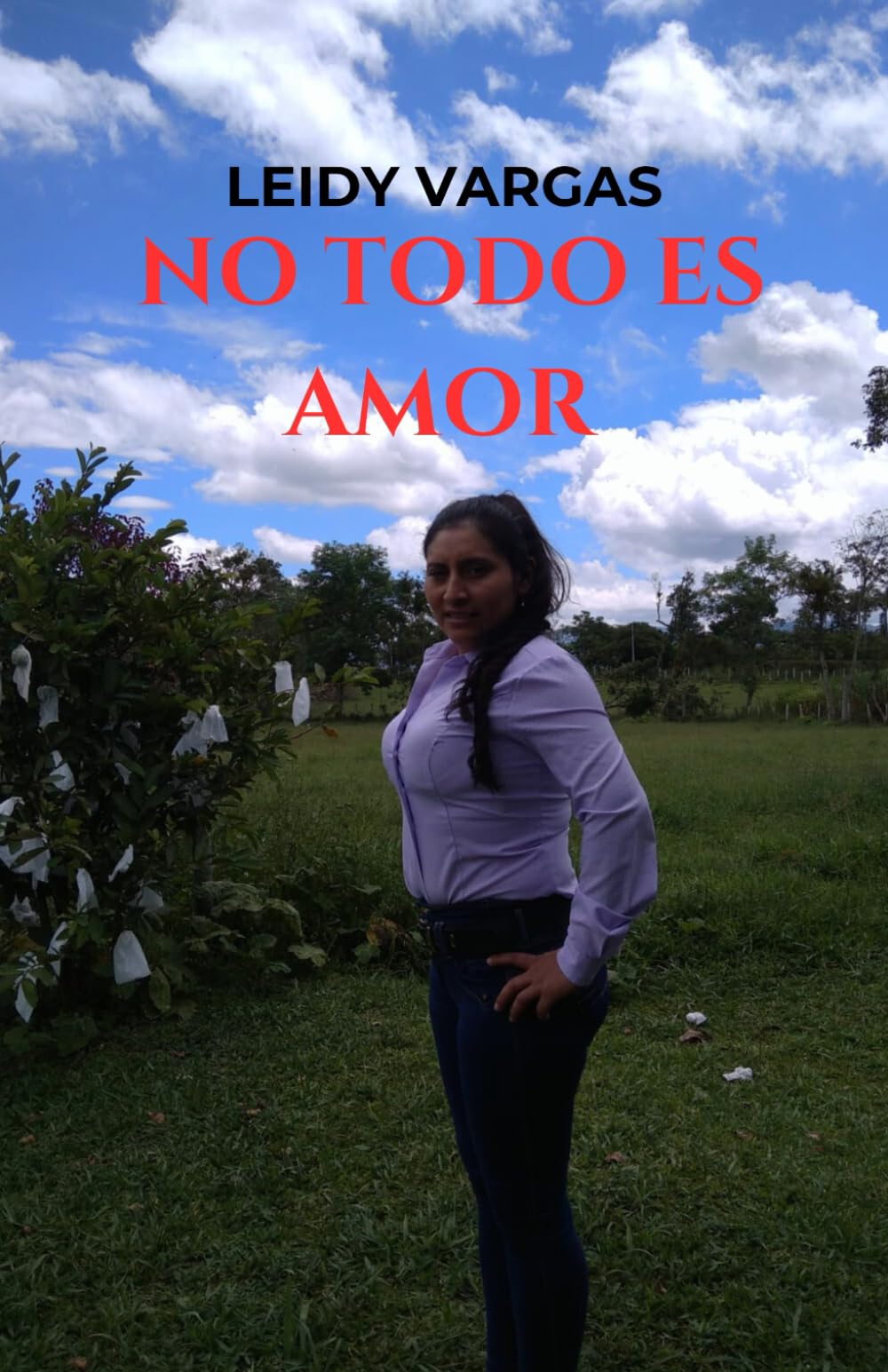 NO TODO ES AMOR