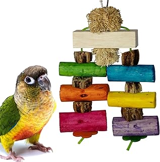 Super Bird Creations SB1179 Sola Surprise Bird Toy, Medium Bird Size, 9 x 6