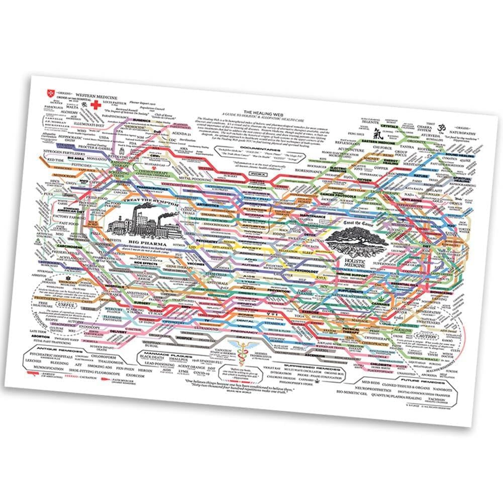 CTRLZS Healing Web Poster NaturalRemedies Chart Canvas Print Wall Art Horizontal Poster Print Mental Health Posters