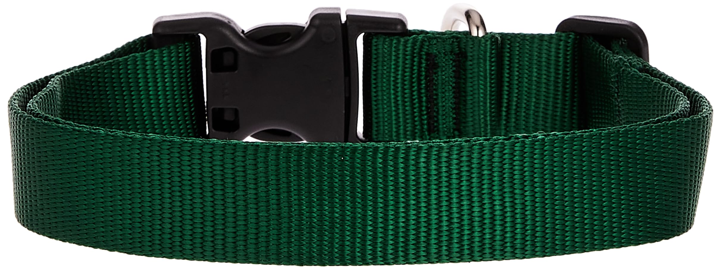 LupinePet Basics 1' Green 16-28' Adjustable Collar for Large Dogs