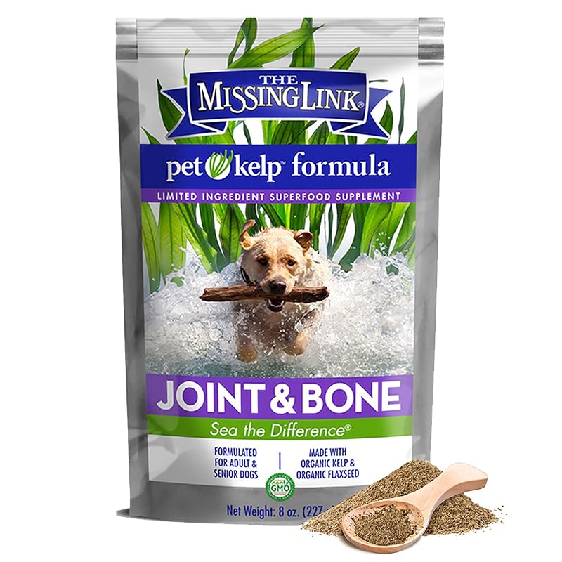 Suplemento em pó para cães The Missing Link Pet Kelp Joint & Bone com glucosamina e kelp, 224 g